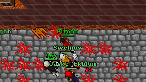 Pitofo on screen