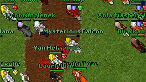 Mysterious Falcon on screen