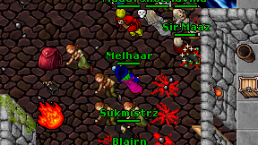 Melhaar on screen