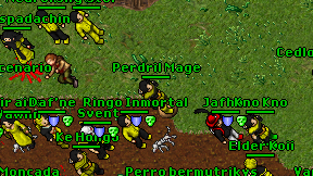 Perdril Mage on screen