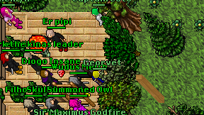 Georvet on screen