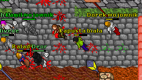 Kapusta biala on screen