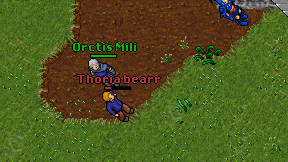 Thoria bearr on screen
