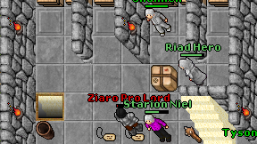 Ziaro Pro Lord on screen
