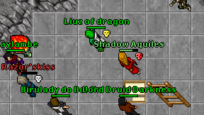 Shadow Aquiles on screen