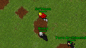 Xinty on screen