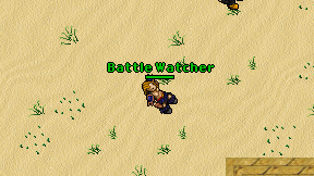 Battle Watcher on screen