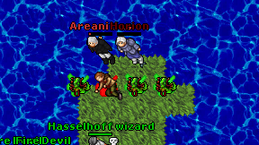 Horion on screen