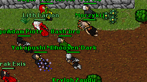 Bash'bro on screen