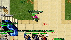 Bokinhas on screen