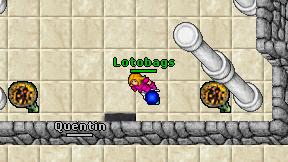 Lotobags on screen
