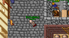 Establej on screen