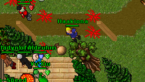 Haakiona on screen
