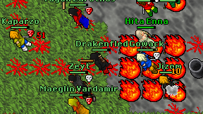 Drakenfled on screen