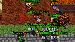 Gaston Druid on screen