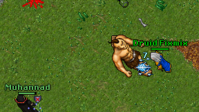 Druid Fixmix on screen