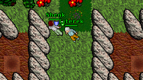 Literek on screen