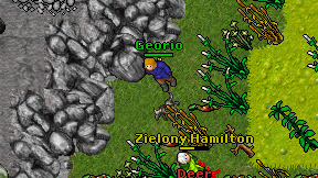 Georio on screen