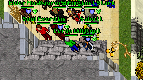 Cerdo Mage on screen