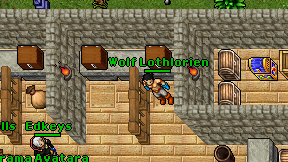 Wolf Lothlorien on screen