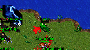 Lyte on screen