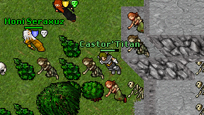 Castor'Titan on screen