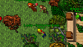 Lady-Satisfaction on screen