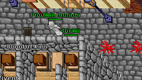 Dirkii on screen