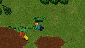 Figote on screen