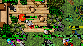Frumes on screen