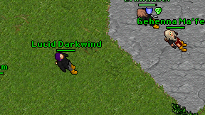 Lucid Darkwind on screen