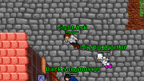 Night Ark on screen
