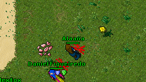 Alaana on screen