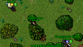 Falenso on screen