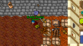 Galo Inus on screen
