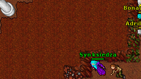 Syn ksiedza on screen