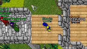 Elajo on screen