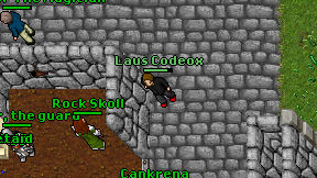 Laus Codeox on screen