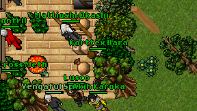 Korttex Bara on screen