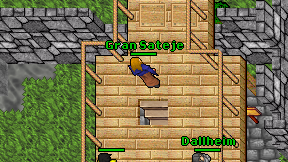 Gran Sateje on screen