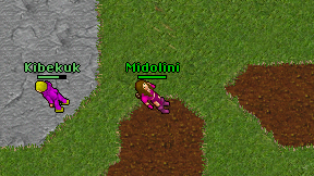 Midolini on screen
