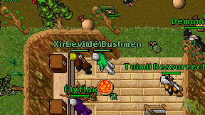 Xirmo Motio on screen