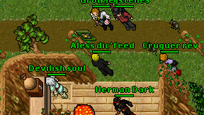 Aless dic'feed on screen