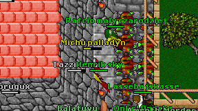 Michu palladyn on screen