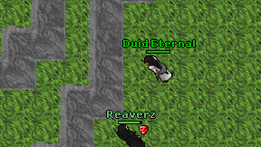 Duid Eternal on screen