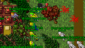 Aldin Master on screen