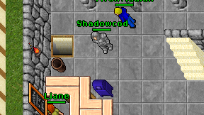 Shadowcod on screen