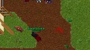Exebliss on screen