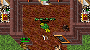 Skan Morn on screen