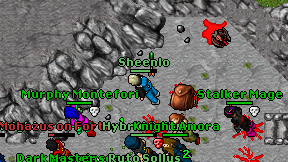 Sheenlo on screen